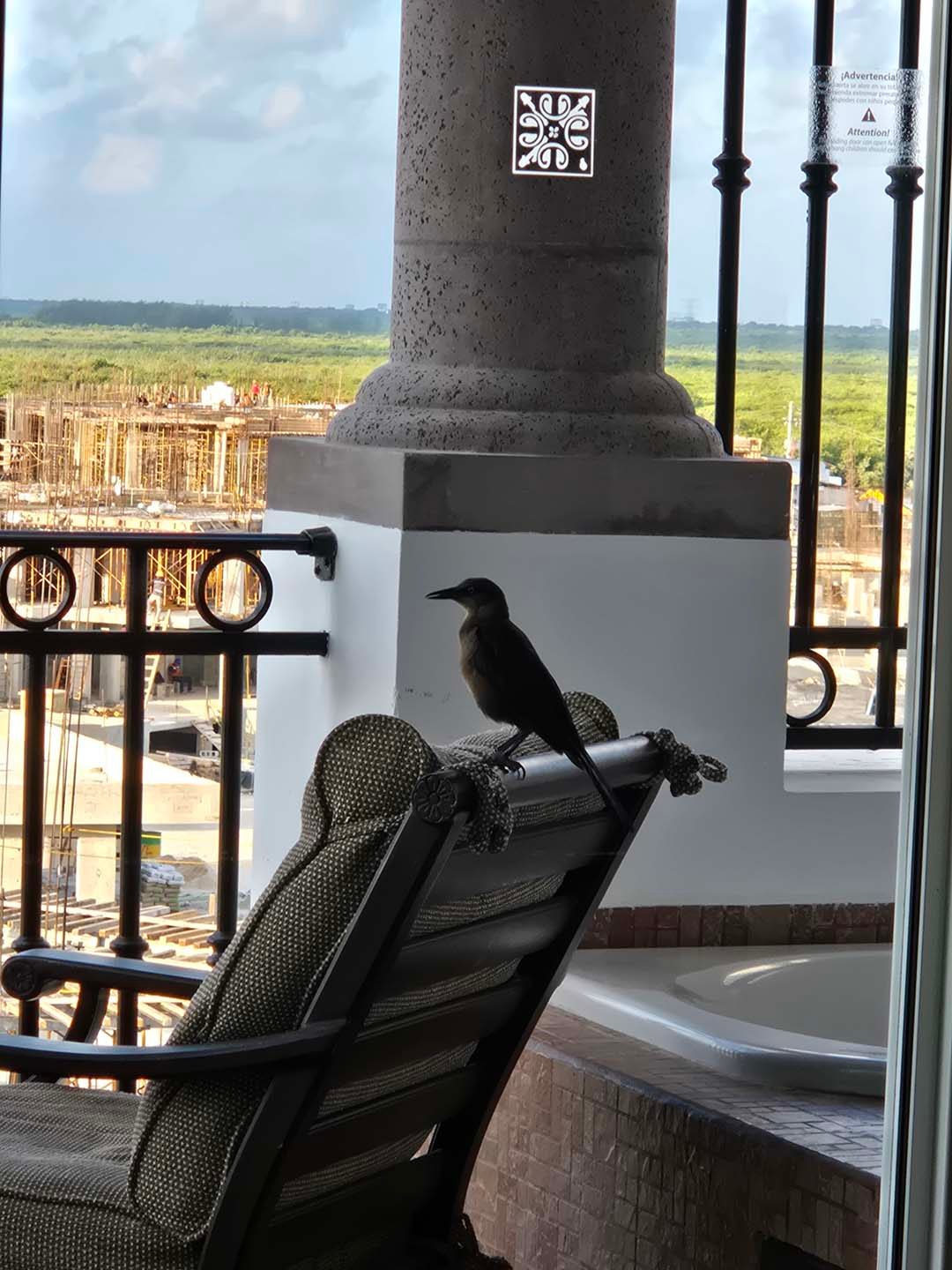 Puerto Morelos 2026 02